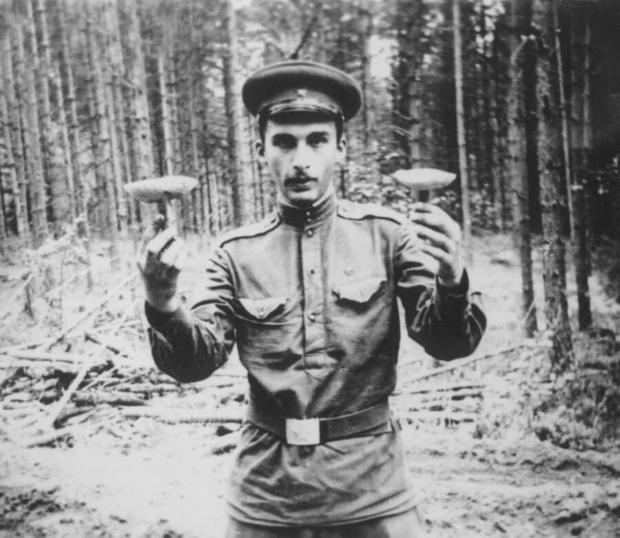 Александр Друзь — Биография