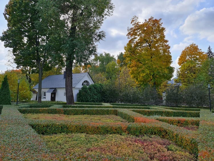 Работа Елены Быковой. фото из личного архива.