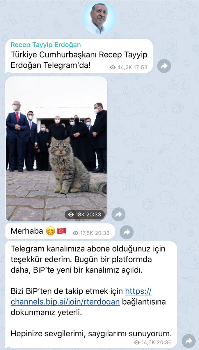 Президент Турции Эрдоган зарегистрировался в Телеграме