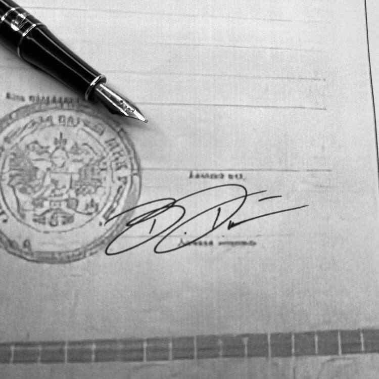 Примеры работ Александра Климко