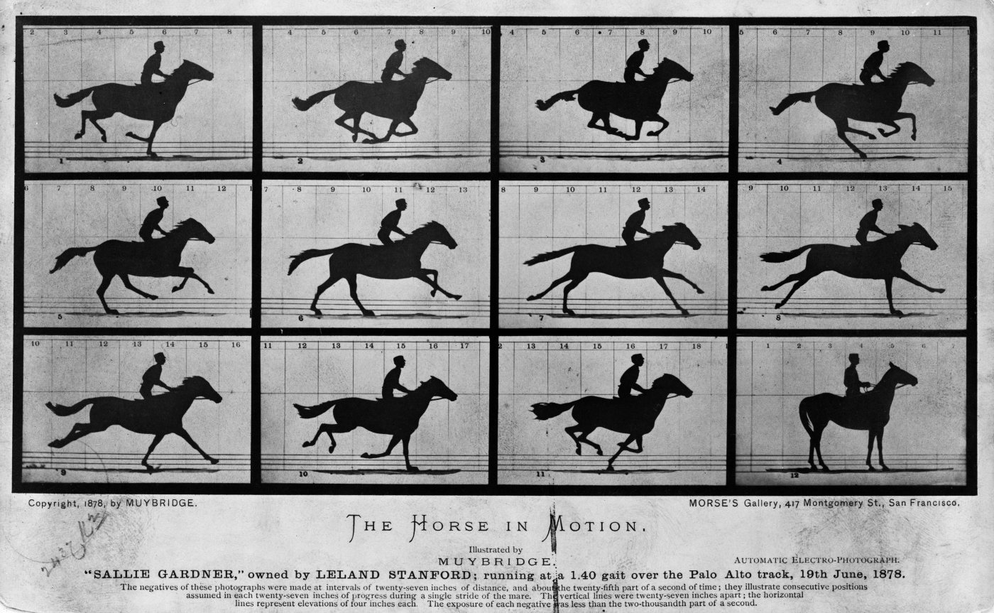 «Лошадь в движении» Эдварда Мейбриджа, 1878 год