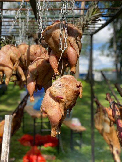 Alpaca Wellbeing Fest, фестиваль счастливого образа жизни прошел в Москве